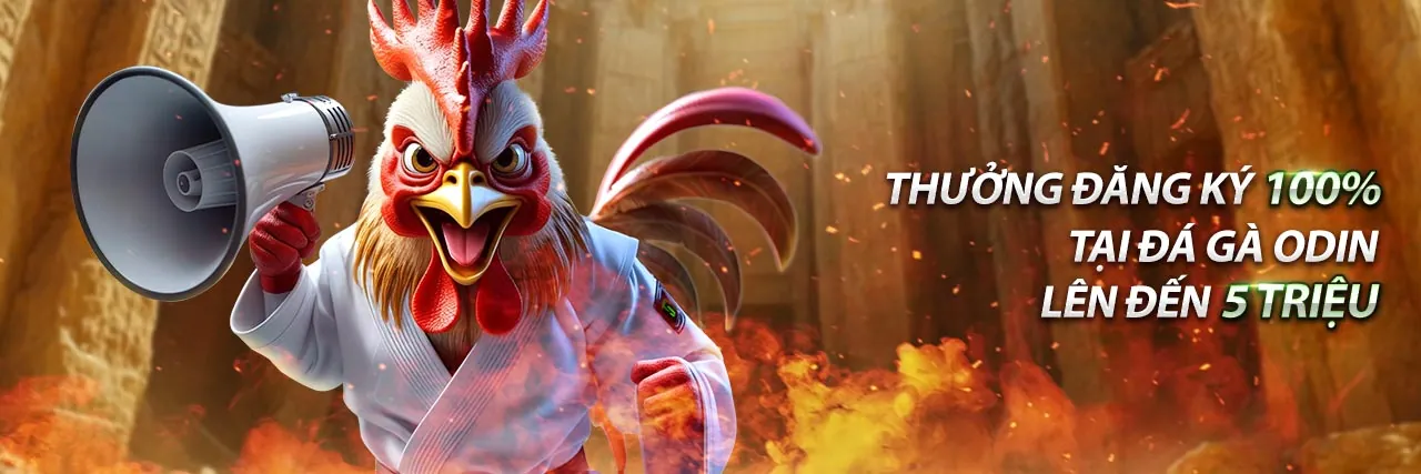 Win 911 Ứng dụng Cá cược Thể thao & Casino Trực tuyến