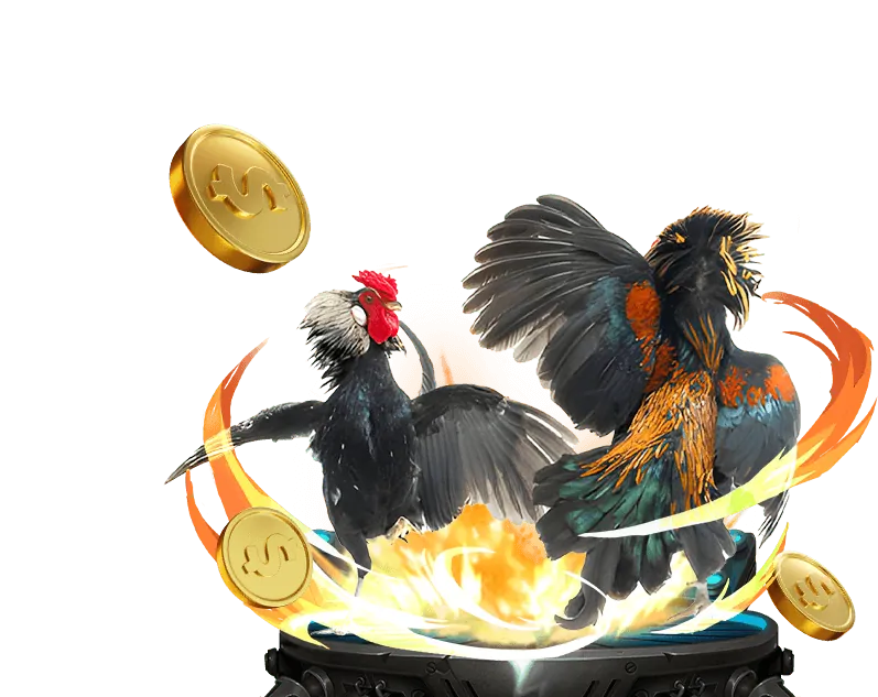 Đá gà Win911 trực tuyến